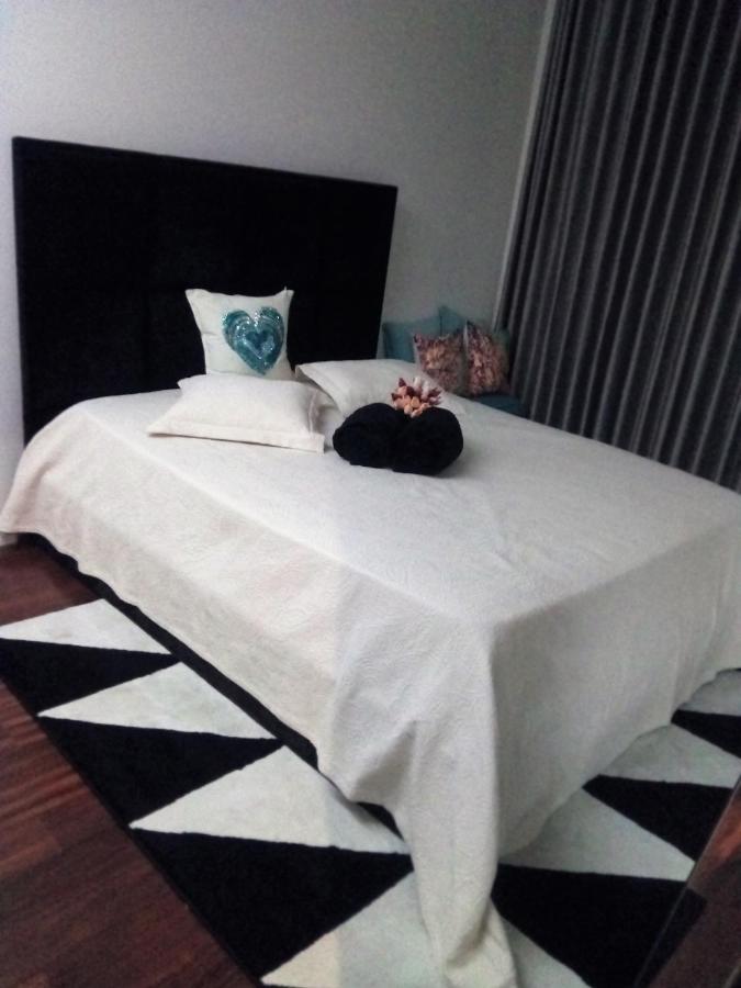 Luxury 3 Bedroom Penthouse With Private Garage Apartment