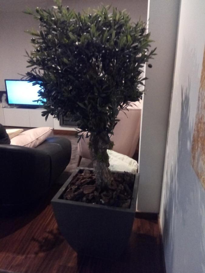 Luxury 3 Bedroom Penthouse With Private Garage * Braga